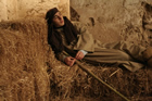 Presepe