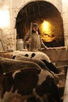 Presepe