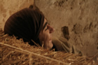 Presepe