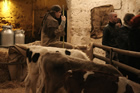 Presepe