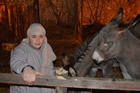Presepe
