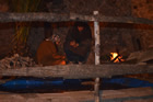 Presepe