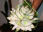 Sfilata