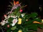 Sfilata