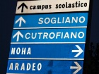 Tutte