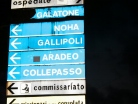 Tutte