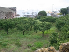 Tutti