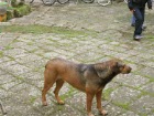 Tutti