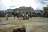 fiera