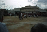 fiera
