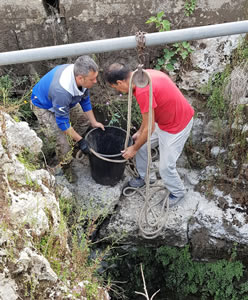 pulizia vora Noha. 10.06.2018