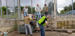 pulizia vora Noha. 10.06.2018