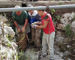 pulizia vora Noha. 10.06.2018