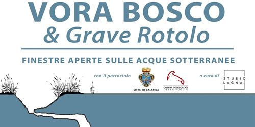 Minimalismo digitale. Rimettere a fuoco la propria vita in un mondo pieno  di distrazioni di Newport Cal - Il Libraio