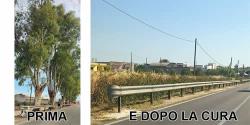 Anteprima - Clicca per ingrandire