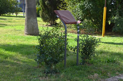 Benedizione della targa in memoria di Suor Orsolina