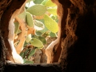 La Casa Rossa