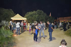 Festa