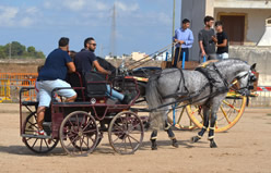 Fiera