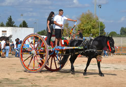 Fiera