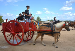 Fiera
