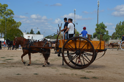 Fiera