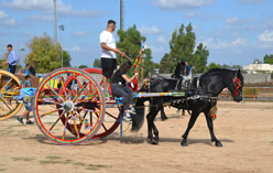 Fiera