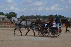 Fiera