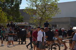 Fiera