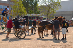 Fiera