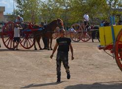 Fiera