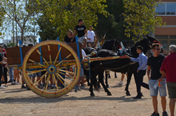 Fiera