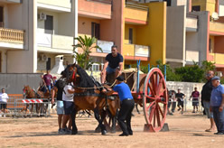 Fiera