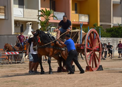 Fiera