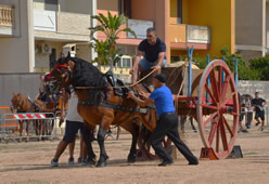 Fiera