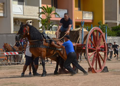 Fiera