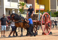 Fiera