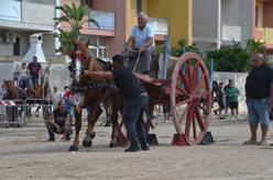 Fiera