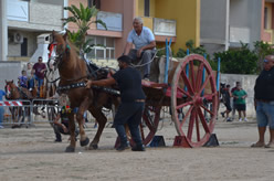 Fiera