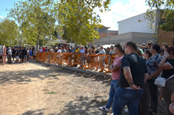 Fiera