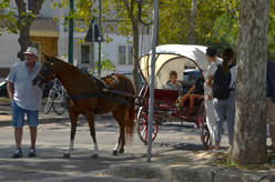Fiera