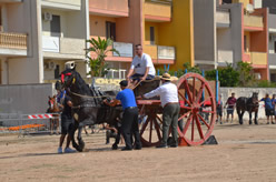 Fiera