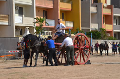 Fiera