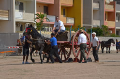 Fiera