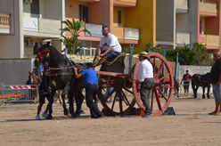 Fiera
