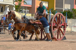 Fiera