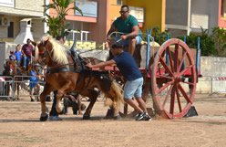 Fiera