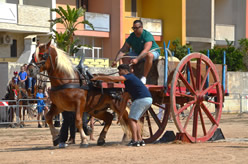 Fiera