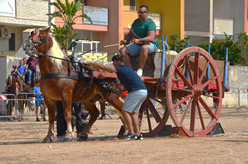 Fiera