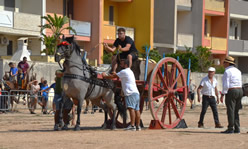 Fiera